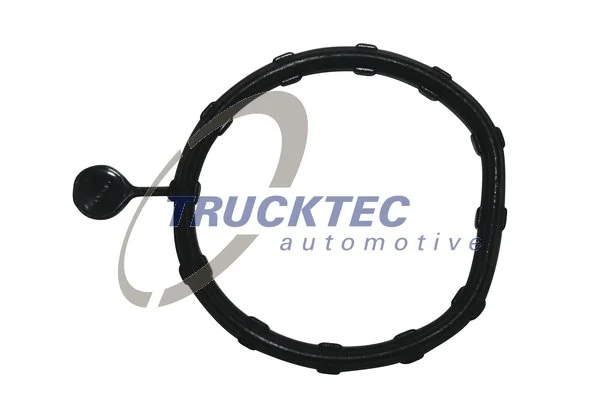 Gasket, plenum chamber